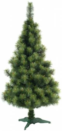 Сосна Крымская-1  выс.2,1м.