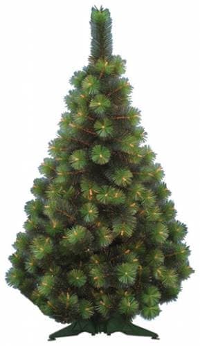 Сосна Крымская 1,2м.