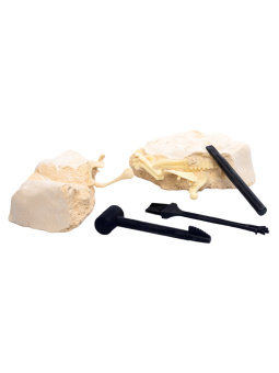 Раскопки "Найди окаменелости Спинозавра" ( 11 элементов )