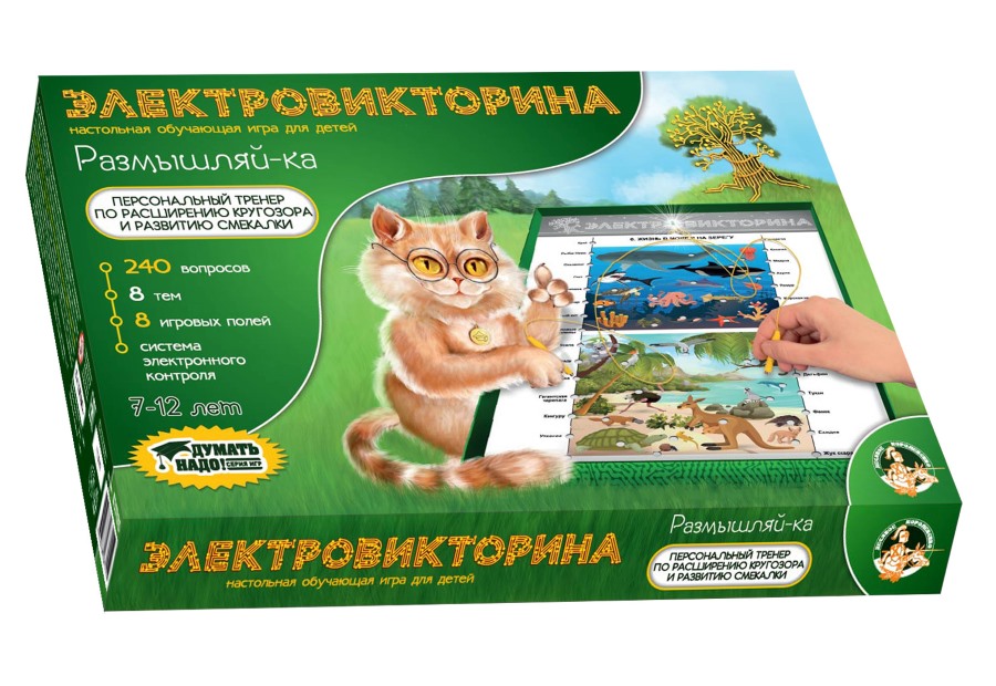Игра Электровикторина "Размышляй-ка"