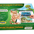 Электровикторины